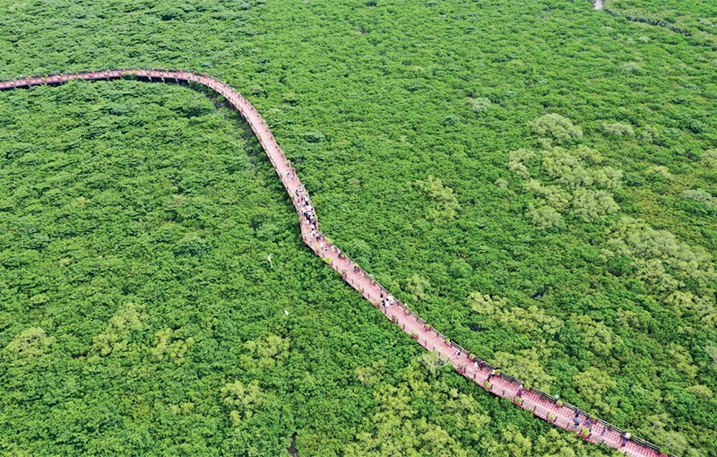 中共生態環境部黨組在《求是》雜志發表文章《聚焦建設美麗中國 深化生態文明體制改革》